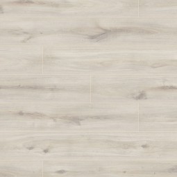 1532__Atlantic_Oak.jpg